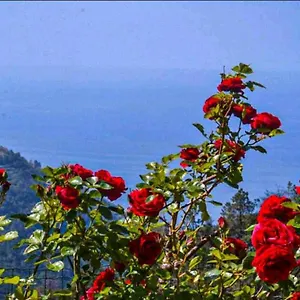 Ca Du Bene Casa vacanze Vernazza